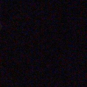 Meet your Posher, Millie